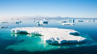Правда, что "Договор об Антарктиде не настоящий, и от нас что-то скрывают"?