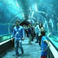 Rio de Žaneire – didžiausias akvariumas visoje Pietų Amerikoje