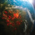 Mokslininkai rado būdą, kaip apsaugoti Žemę nuo gresiančios katastrofos: planetą apgaubs „skėčiu“