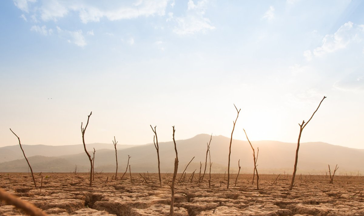 Klimato kaita Shutterstock