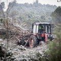 Suskaičiavo, kiek 2015-aisiais pavogta medienos