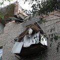 При обстреле Черкасской области пострадали шесть человек