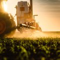 100 didžiausių žemės ūkio bendrovių pelnai: kas moka didžiausius atlyginimus
