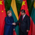 Грибаускайте надеется, что встреча с главой Китая откроет рынки этой страны для Литвы
