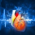 10 patarimų, jei norite nesirgti širdies ir kraujagyslių ligomis