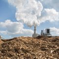 Seimas: 12 šilumos gamintojų turės deginti daugiau biokuro iš kirtimo liekanų
