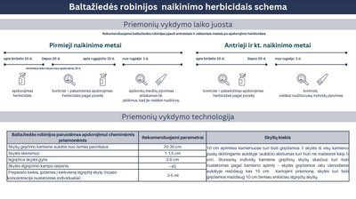 Baltažiedės robinijos naikinimo schema AAD nuotr.