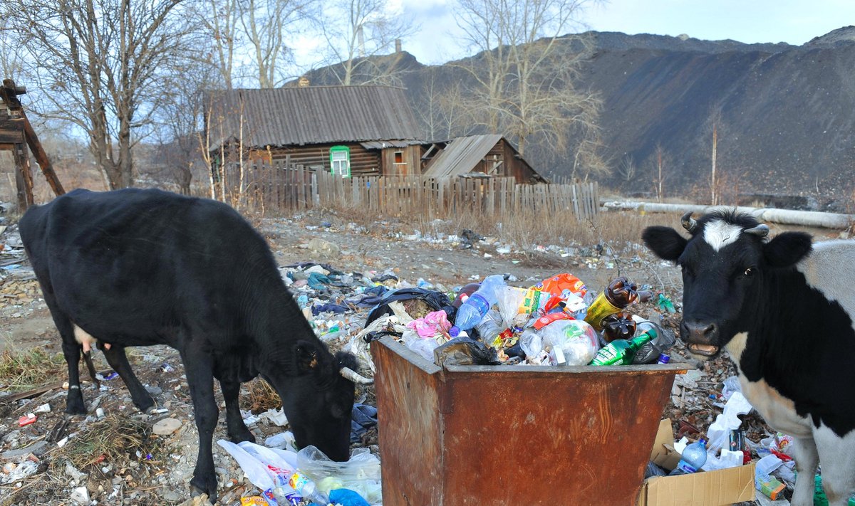 Karabašas vadinamas ekologinės nelaimės zona