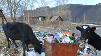 Самый грязный в мире город - в Челябинской области