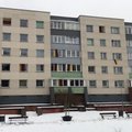 Висагинцы украсили на 16 февраля окна и балконы домов флагами
