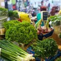 Pavasarinis turgus – kokios daržovės jau pradėjo pigti