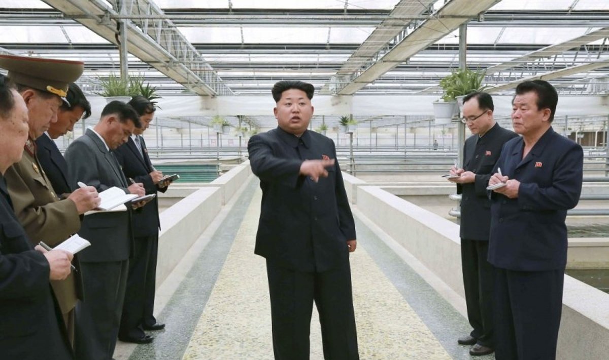Kim Jong Unas vėžlių fermoje