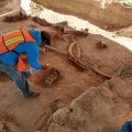 Meksike per darbus oro uoste rasti dešimčių mamutų kaulai