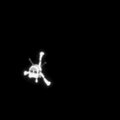 Kosminis zondas „Rosetta“ rugsėjo 30-ąją baigs misiją