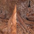Olos sienoje įstrigusio „Altamūros žmogaus“ istorija: išsiaiškinta kraupios jo mirties priežastis