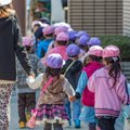 Kaip atrodo vaikų darželiai kitose pasaulio šalyse: Japonijoje į darželį tenka lipti per medį, Vokietijoje vaikai auklėjami pagal Robino Hudo programą