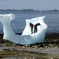 Датские политики назвали "безумием" идею Трампа купить Гренландию