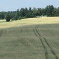Kaip Žemė buvo atrasta Lietuvoje: šią vietą daugelis pravažiuoja nė nesusimastę