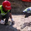 Kinijos mokslininkai aptiko dinozaurų fosilijų klodus šalies šiaurės rytų regione