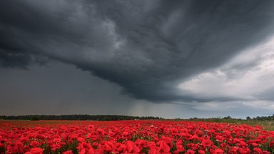 Audros laukęs fotografas užfiksavo nuostabų reginį: beliko pasiimti tai, ką pasiūlė dangus