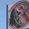 Tokijo gyventojai mėgaujasi 3D reklama su Akita veislės šuneliu