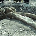 Statybininkai Čilėje rado mastodonto kaukolę