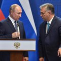 Iš Rusijos gaunami pinigai vilioja labiau nei taika Europoje: ryškėja, kas vykdo didžiausią šantažą