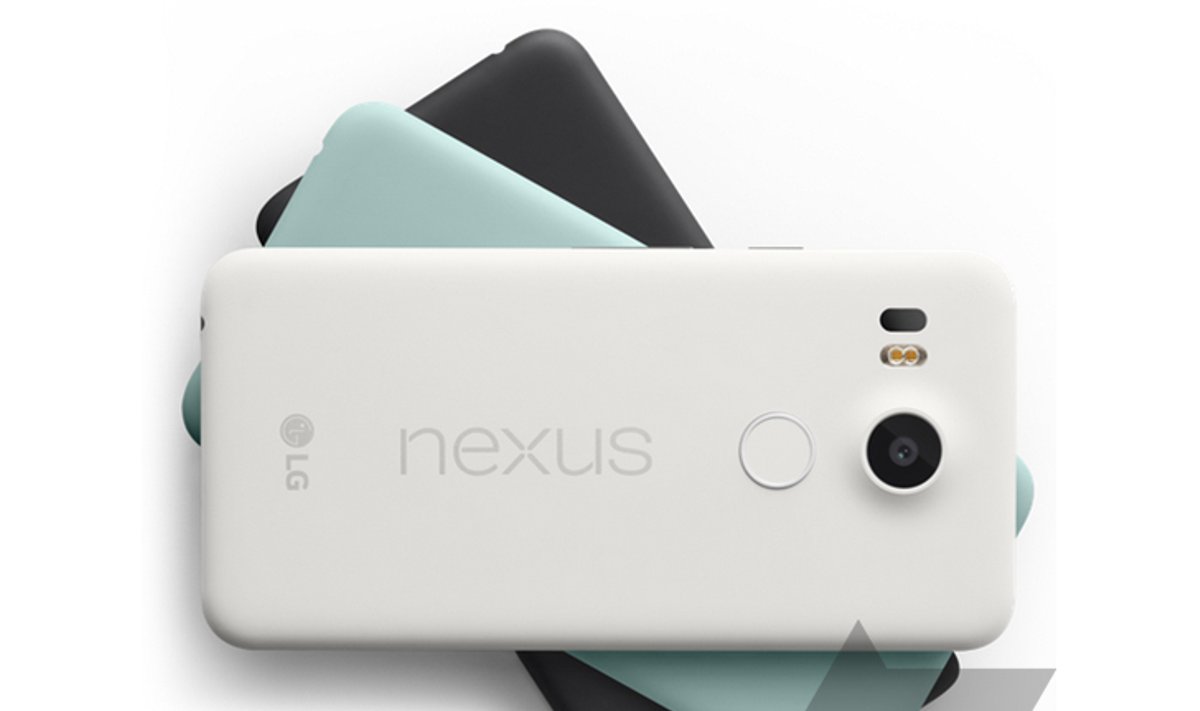"Nexus 5X" nugarėlės (androidpolice.com nuotr.)