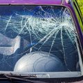 Šnipiškėse dūžta automobilių langai: kaltininkas – nustebins