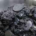 Jūros vėžliui prireikė operacijos – pilve buvo rasta 915 monetų