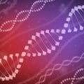 Mokslininkai ieškos ilgaamžiškumo geno