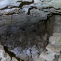 Meksikoje povandeniniame urve archeologai aptiko fosilijų ir majų relikvijų
