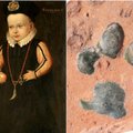 Archeologai atskleidė šiurpias viduramžių Vilniaus šunų paslaptis: tegyveno vos dvejus metus, žmonės juos valgė