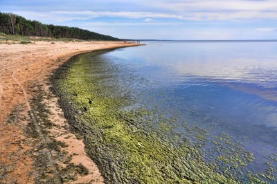 Baltijos jūros tarša