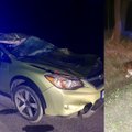 Vilniuje susidūrė „Subaru“ ir briedis: gyvūnas nugaišo, automobilio vairuotojas išgabentas į ligoninę