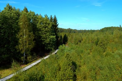 Šauklių riedulynas (SIC archyvo nuotr.)