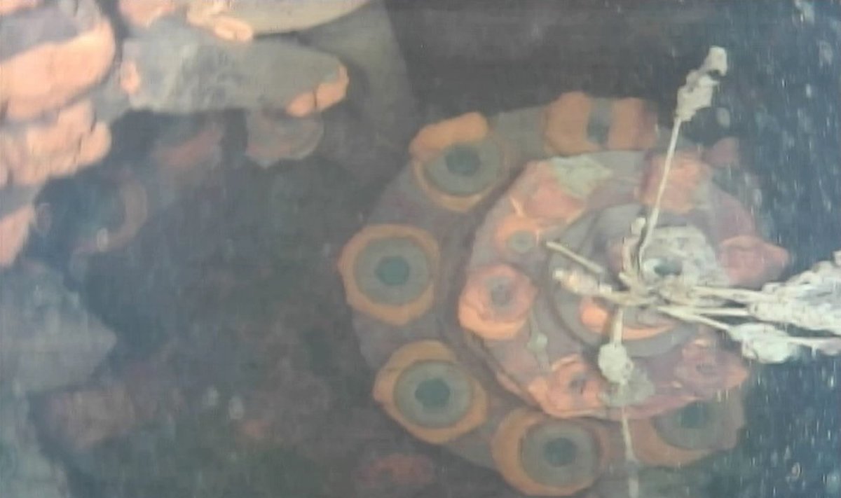 povandeninis robotas prie Fukušimos jėgainės užfiksavo, kas ten yra