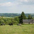 Kur Europoje brangiausia žemė ir kurioje vietoje Lietuva