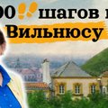700 шагов с Еленой Леонтьевой в зеркале Вильнюса: без Ленина или спонтанный порядок на Лукишской площади