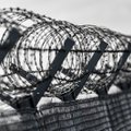 Elvinas Jankevičius: amnestija palies apie 400 kalinių