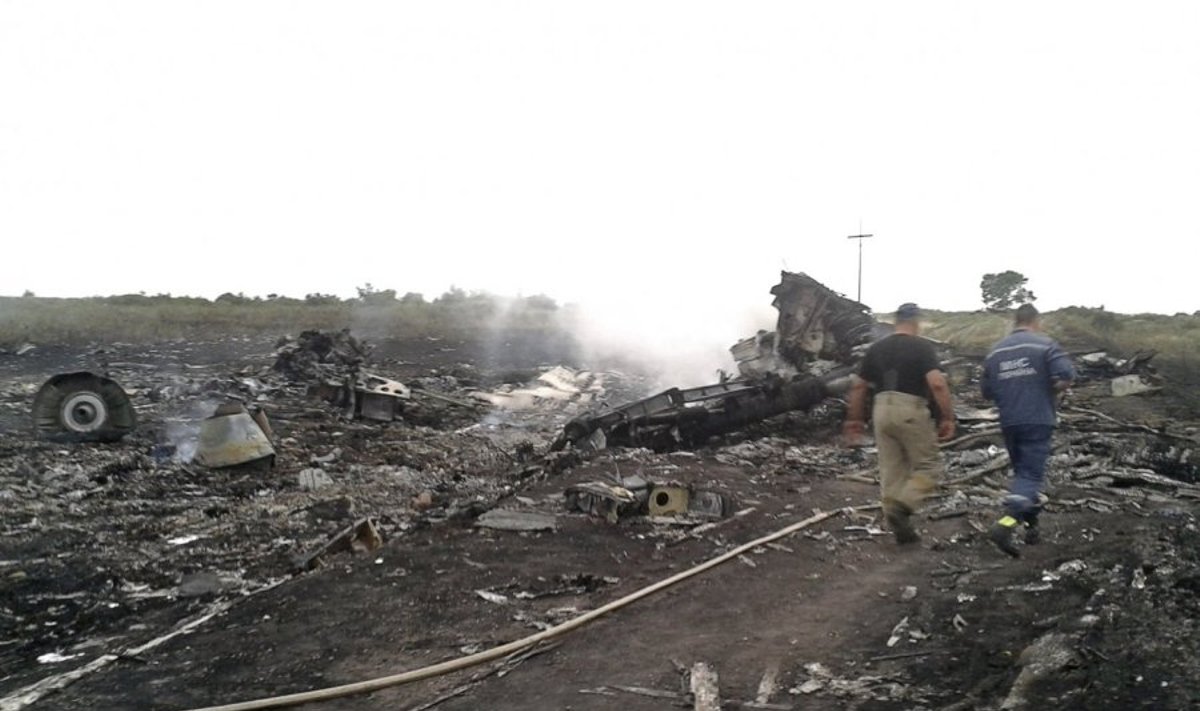 Ukrainoje nukrito Malaizijos oro linijų lėktuvas