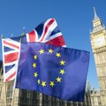 Viruso gniuždomoms britų įmonėms netikėtai pasitarnauja „Brexit“