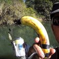 Išprotėjęs žvejų pasaulis: neturite meškerės? Ją pakeis bananas!