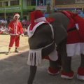 Tailando mokykloje apsilankė kalėdiniai drambliai