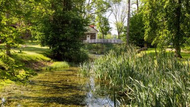 Saugomų teritorijų lankytojai raginami rinkti šiukšles, siūlomi specialūs maišeliai