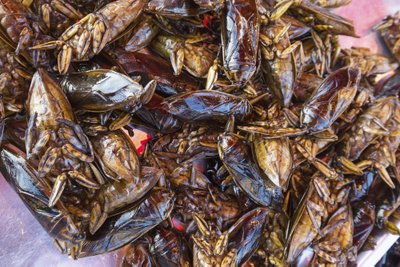 Valgomieji vabzdžiai ar dirbtinė mėsa yra žmonijos ateities maistas?