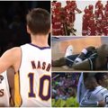 5 labiausiai sirgalius nuvylusios „svajonių komandos“ sporto istorijoje