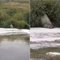 В Кедайняй не могут решить проблему: фекалии стекают в реку