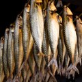 Klaipėda kviečia į 3 dienas truksiančias žuvies dienas – laukia rekordinis kepsnys, kurio bus galima paragauti visiems