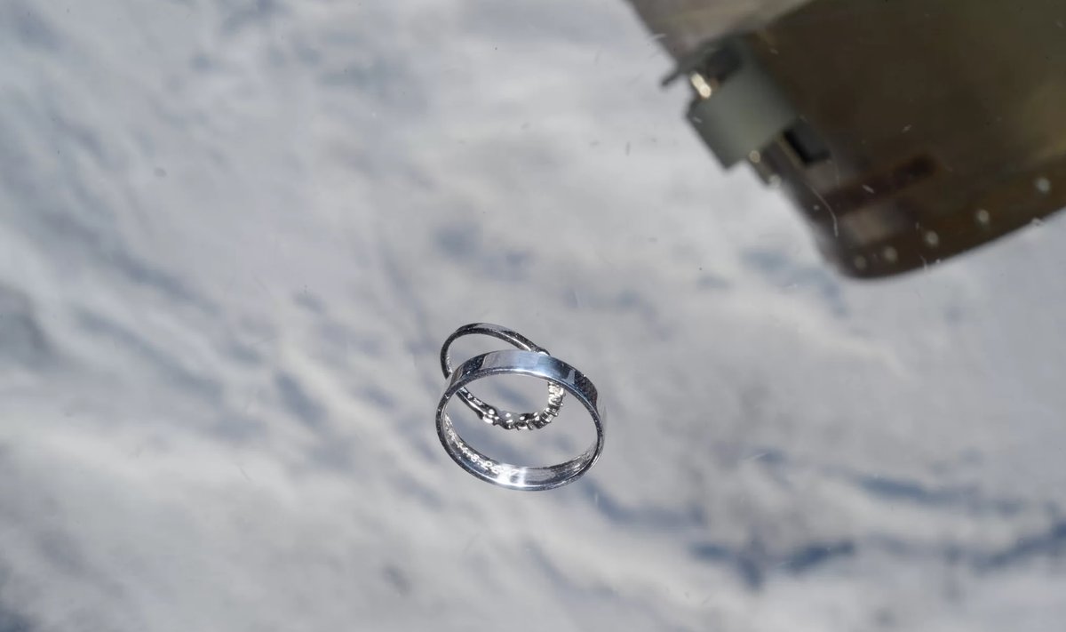 T. Pesqueto į kosmosą atvežti žiedai, T. Pesqueto, ESA nuotr.